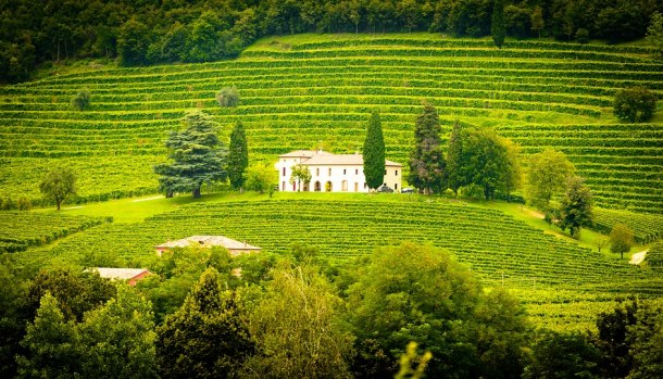 casa-vigneto-maremma-toscana